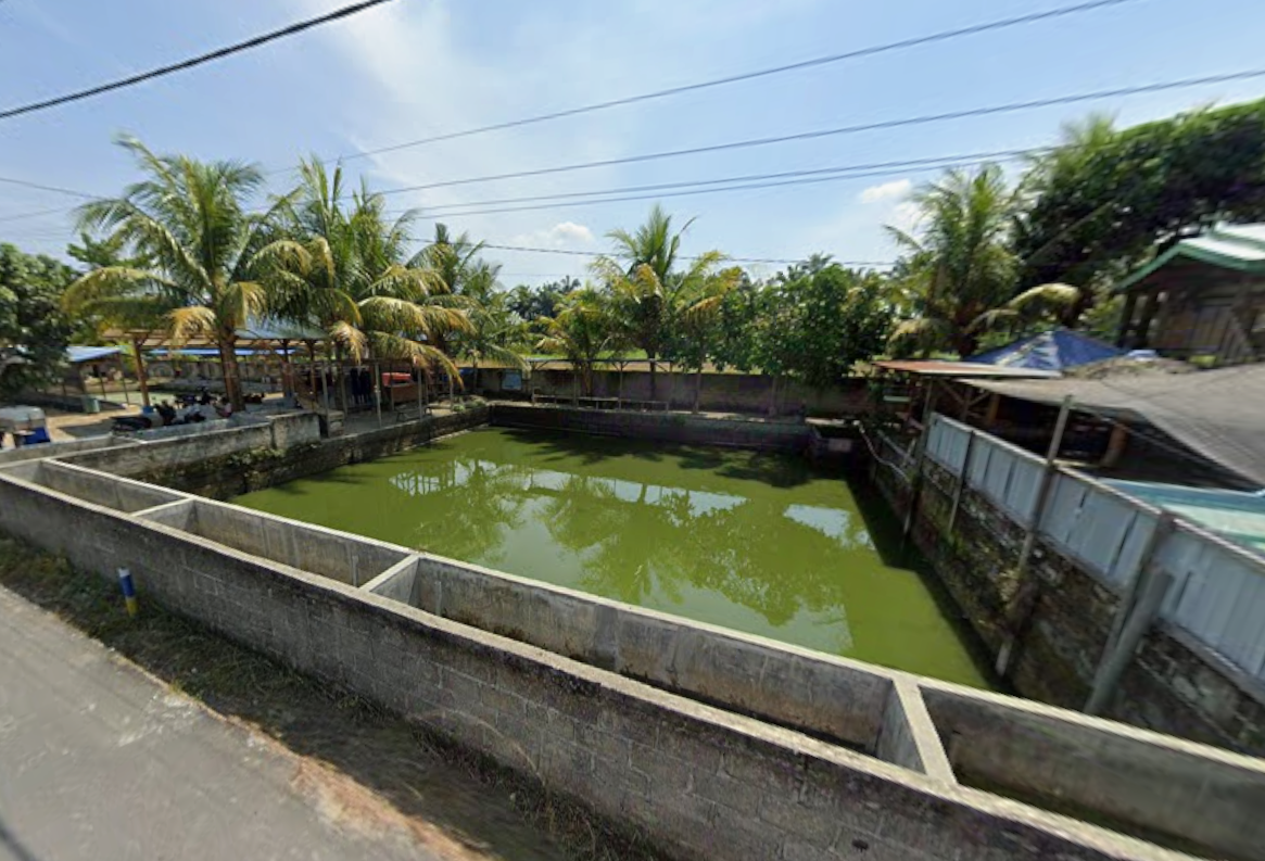 Kolam Pancing Desa Suka Makmur
